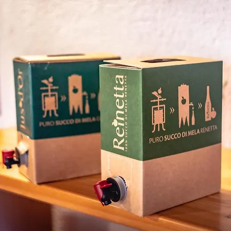 Antica Casa Di Montagna Maison Bovard Отель типа 